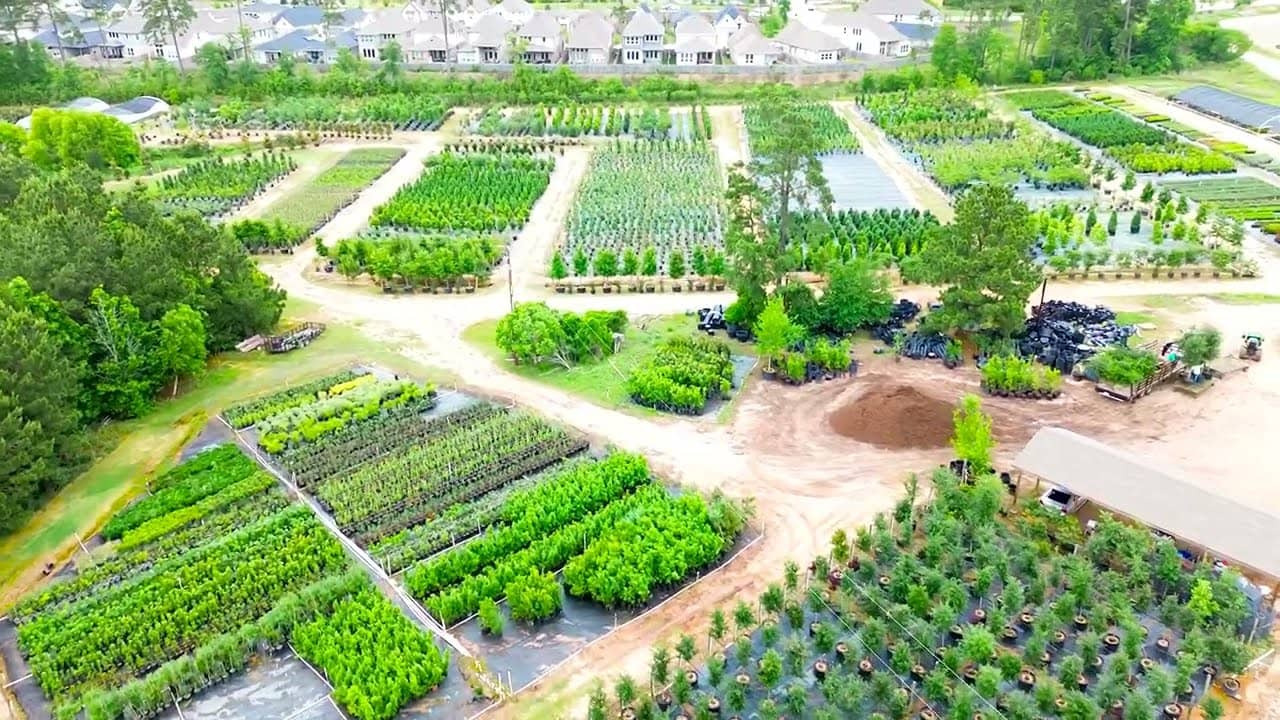 Aerial view of Woodlands Nursery's container rows and tree yard